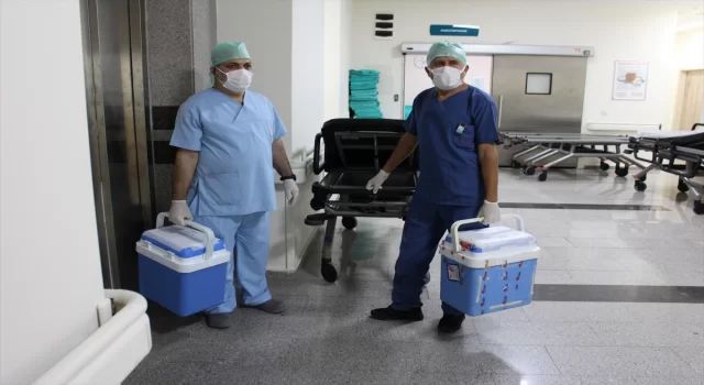Karaman’da beyin ölümü gerçekleşen şahsın organları hastalara umut oldu