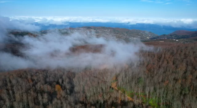 Kastamonu’da vadilere çöken sis ve ormanlık alanlar dron ile görüntülendi