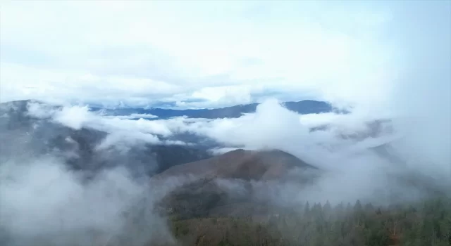 Yaralıgöz Dağı’nın sisle bütünleşen manzarası dronla görüntülendi