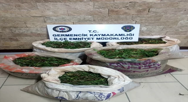 Aydın’da otomobilinde salep soğanıyla yakalanan kişiye 244 bin lira ceza kesildi