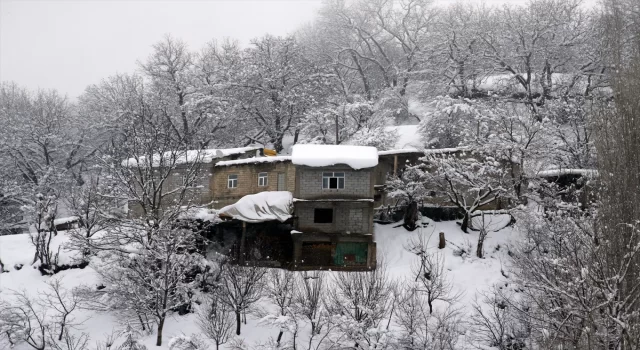 Van, Hakkari ve Bitlis’te 316 yerleşim birimine ulaşım sağlanamıyor