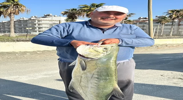Hatay’da amatör balıkçının oltasına yaklaşık 20 kilogramlık çatalkuyruk takıldı