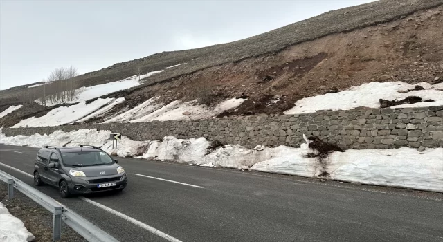 Eriyen kar sebebiyle ArdahanArdanuç kara yoluna kaya parçaları düştü