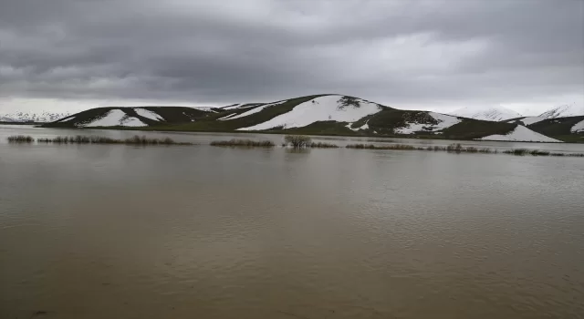 Hakkari’de yağışlar sebebiyle tarım arazileri ve bazı evler su altında kaldı