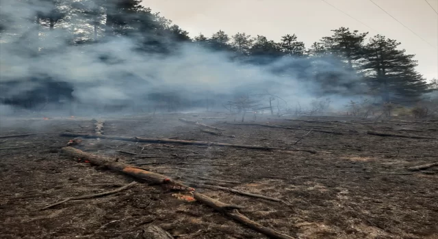 Kastamonu’da enerji nakil hattından sıçrayan kıvılcım ormanda yangına neden oldu
