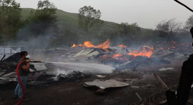 GÜNCELLEME Kastamonu’da 2 ev, sera ve ahırlar yandı, 4 büyükbaş hayvan öldü