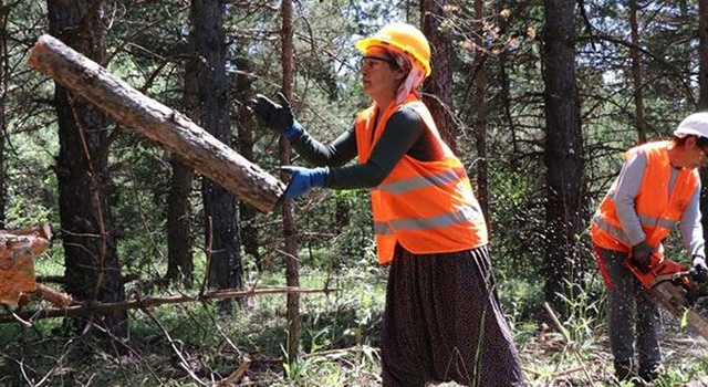 Orman işçisi kadınlardan sendikal hak çağrısı