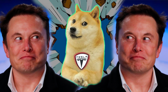 Musk'tan Dogecoin anketi: Tesla'nın kabul etmesini ister misiniz?