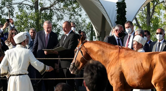 Erdoğan, Aliyev'le Şuşa'da at yarışı izledi