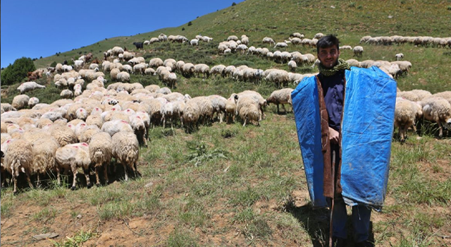 Tunceli'den Robert Koleji'ne giden çobanın yeni hedefi Tilburg Üniversitesi