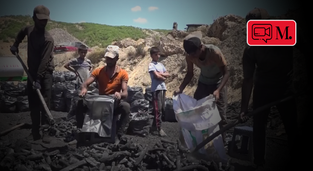 Alın terine kömür karası karışanlar: "Mangal kömürü işçileri"