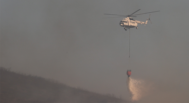 Foça'daki orman yangını kısmen kontrol altında