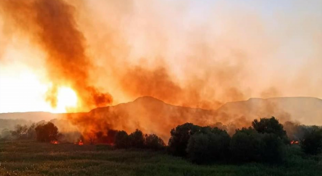 Ankara Nallıhan Kuş Cenneti'nde çıkan yangın, kontrol altına alındı