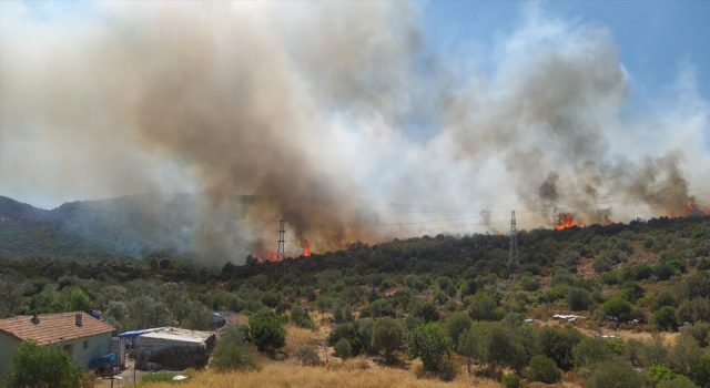 İzmir'in Urla’da ilçesinde orman yangını çıktı
