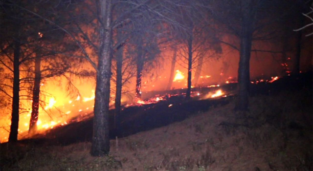 Kazdağları'nda orman yangını