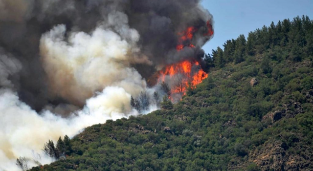 Munzur Vadisi Milli Parkı ve Bingöl’deki orman yangını 3. gününde