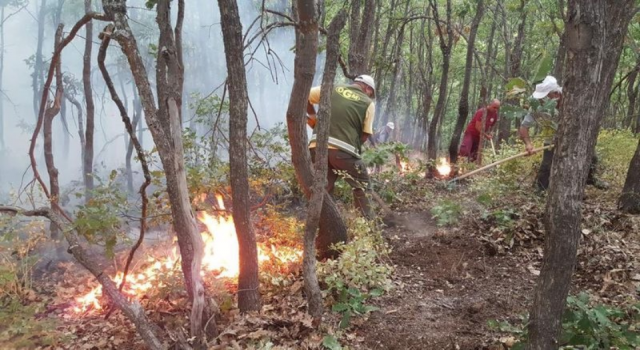 Orman Genel Müdürlüğü: Tunceli'nin Hozat ilçesindeki orman yangını kontrol altına alındı