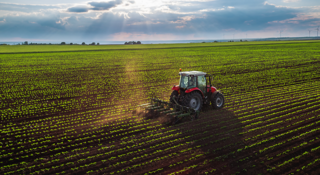 Sudan'dan Türkiye'ye 100 bin hektar tarım arazisi tahsisi