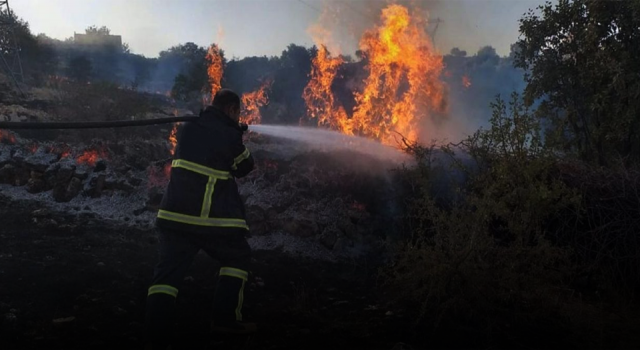 Türkiye'de 6 orman yangını kontrol altına alındı