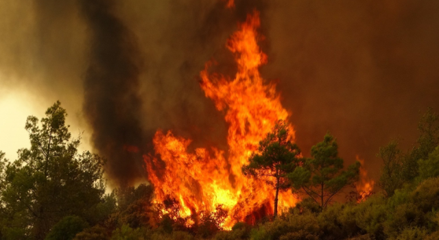 Türkiye'deki orman yangınları sonrası korkutan açıklama!