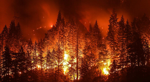 Yangın bölgeleri için "Mücbir Sebep" hali ilan edildi
