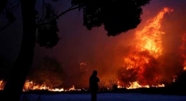 Yunanistan'da orman yangınları yeniden başladı!