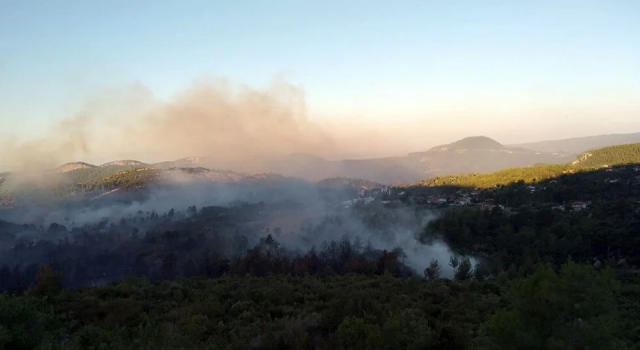 Antalya Manavgat'ta orman yangını!