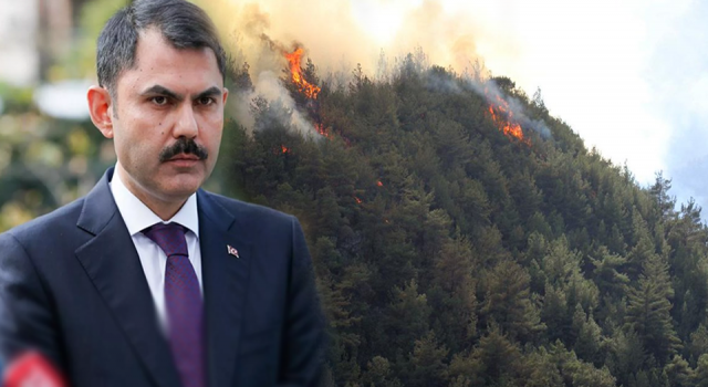 Murat Kurum'dan "orman yangınları sonrası" yapılan çalışmalar açıklaması