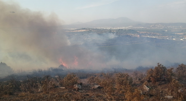 İzmir Torbalı'da çıkan yangın kontrol altına alındı
