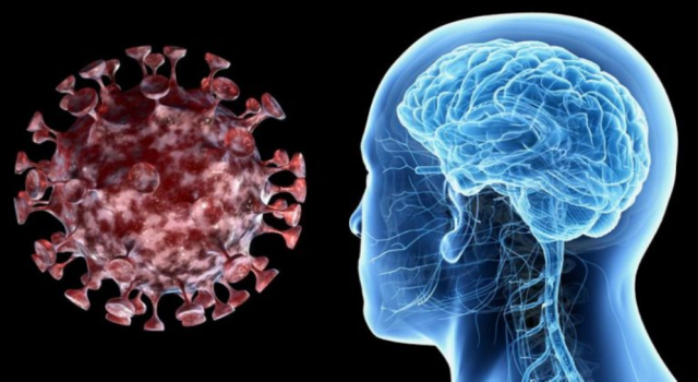 Koronavirüs beyni küçültüyor