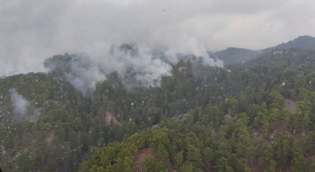 Antalya'nın Manavgat ilçesinde çıkan orman yangını kontrol altına alındı