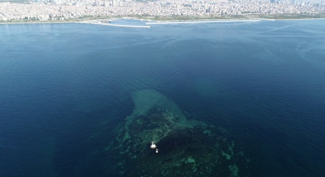 Marmara Denizi'nde "oksijen azlığı" tehlikesi devam ediyor!