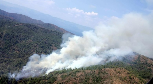 Muğla'daki orman yangını kontrol altına alındı!