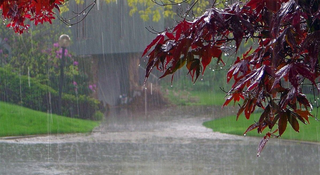 Türkiye'nin pek çok bölgesinde sağanak yağış bekleniyor