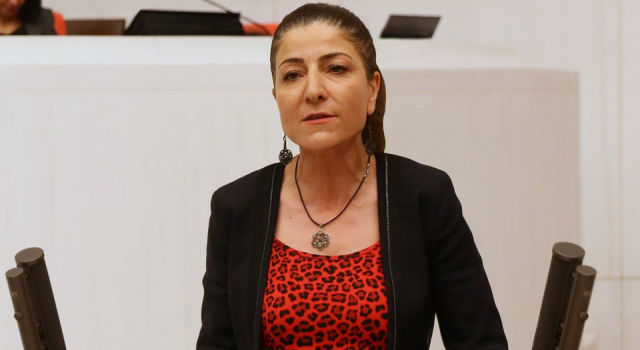 HDP Milletvekili Züleyha Gülüm'den "Geri dönüşüm işçileri" açıklaması