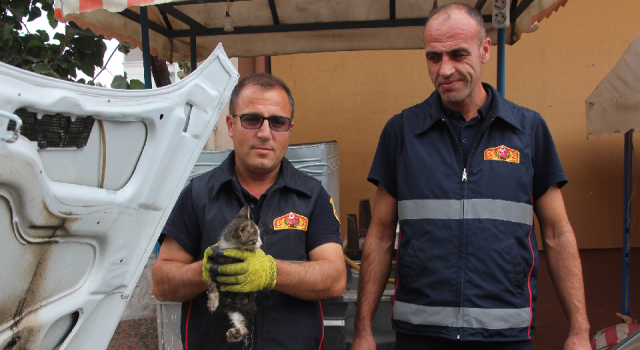 Otomobilin motoruna sıkışan yavru kediyi itfaiye ekipleri kurtardı