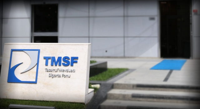 TMSF iki şirketin ihalesini satışa çıkardı