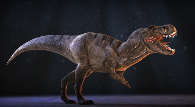 66 milyon yıllık, çok iyi korunmuş dinozor fosili bulundu