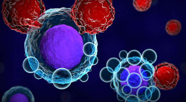 T hücreleri, Omicron varyantına karşı direniyor