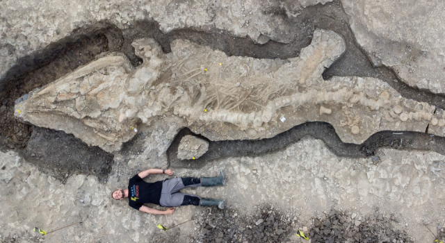 Dev "deniz ejderhası" fosili bulundu