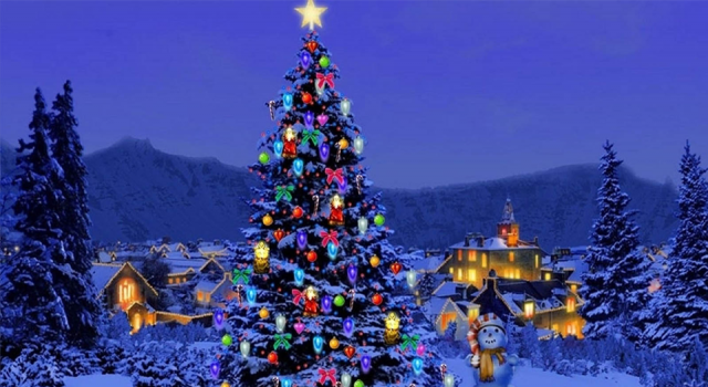 Noel'de evleri süsleyen milyonlarca çam ağacına ne oldu?