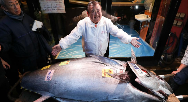 Tokyo’da orkinos balığı 145 bin dolara satıldı