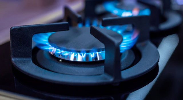 Avrupa'da doğal gaz fiyatlarında rekor artış