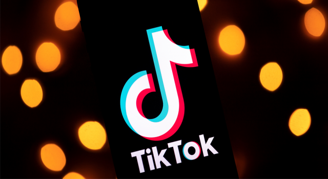 TikTok videoları yüzünden çocuklarının velayetini kaybetti
