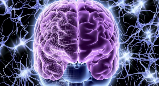 Araştırma: Covid geçirenlerin beyninde küçülme görülebiliyor