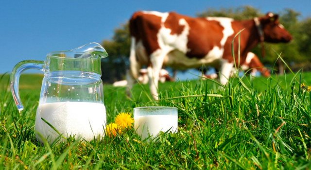 Çiğ süt tavsiye fiyatı litre başına 5,70 lira oldu