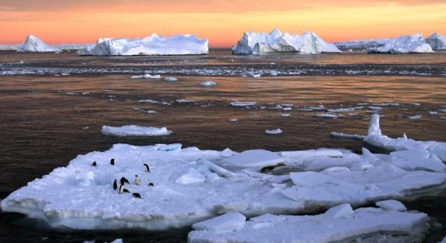 Antarktika'da alarm: Deniz buzu en düşük seviyesinde