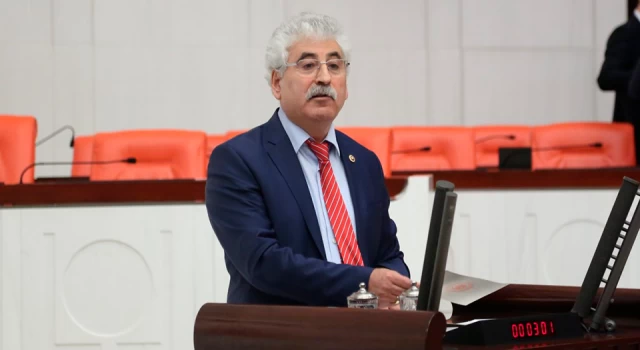 CHP'li eski vekile 'Cumhurbaşkanına hakaretten' 11 ay 20 gün hapis cezası geldi