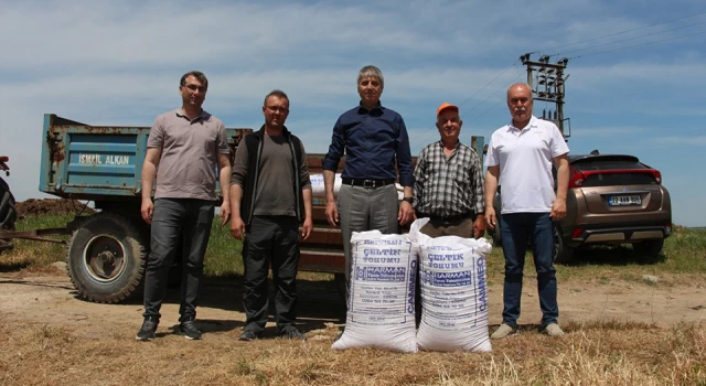 Edirne'de üreticilere 5 bin 200 kilo sertifikalı çeltik tohumu dağıtıldı