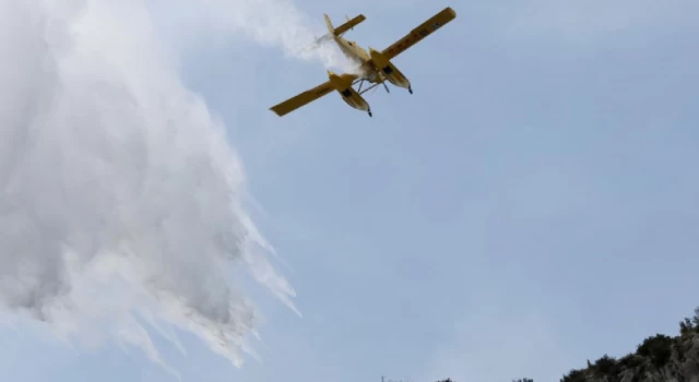 Kıbrıs'ta yangın söndürülemiyor: Güney'den 2 uçak gönderildi